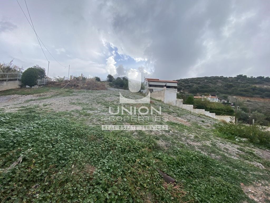 Αγροτεμάχια 930 τ.μ. προς πώληση, Λαγονήσι