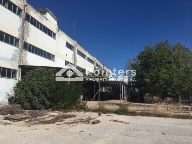 Βιοτεχνικός χώρος 11.398 τ.μ. προς πώληση, Μελισσοχώρι Πλατυκάμπου