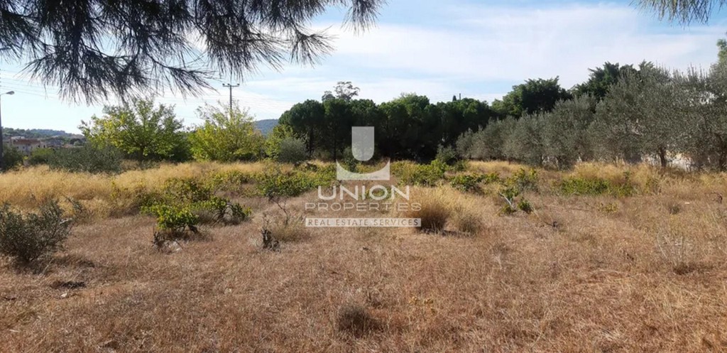 Οικόπεδο 4.350 τ.μ. πρός πώληση, Αθήνα - Ανατολικά Προάστια, Κορωπί