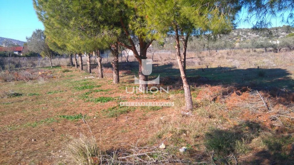 Οικόπεδο 4.350 τ.μ. πρός πώληση, Αθήνα - Ανατολικά Προάστια, Κορωπί