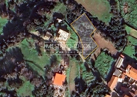 Οικόπεδο 788τ.μ. για πώληση-Χίος » Μαστιχοχώρια