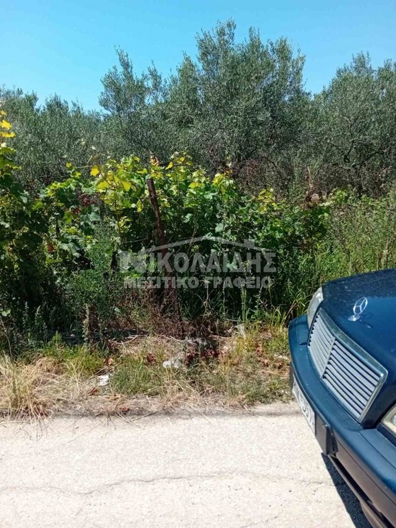 Οικόπεδο 750 τ.μ. πρός πώληση, Ν. Σερρών, Εμμανουήλ Παππάς