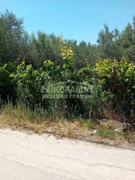 Οικόπεδο 750 τ.μ. πρός πώληση, Ν. Σερρών, Εμμανουήλ Παππάς