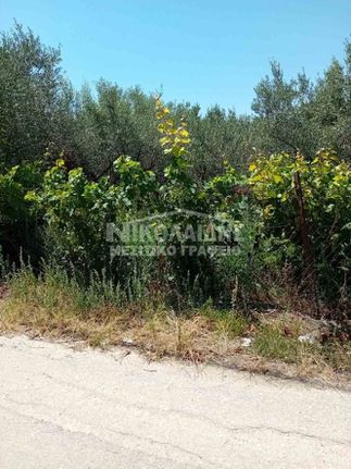 Land plot 750 sqm for sale, Serres Prefecture, Emmanouil Pappas