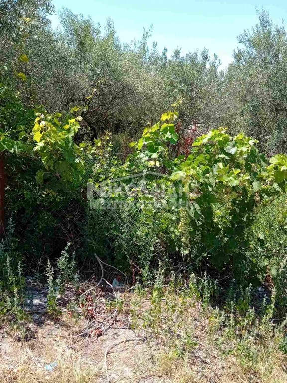 Οικόπεδο 750 τ.μ. πρός πώληση, Ν. Σερρών, Εμμανουήλ Παππάς