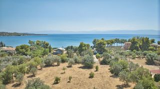 Αγροτεμάχια 4.630 τ.μ. για πώληση