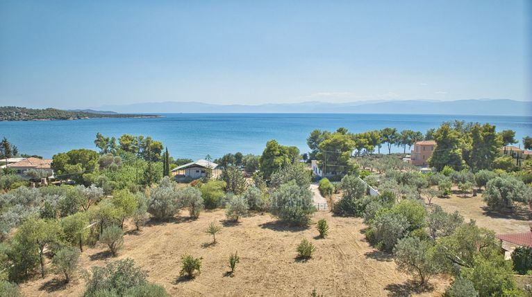 Αγροτεμάχια 4.630 τ.μ. για πώληση, Αργολίδα, Κρανίδι