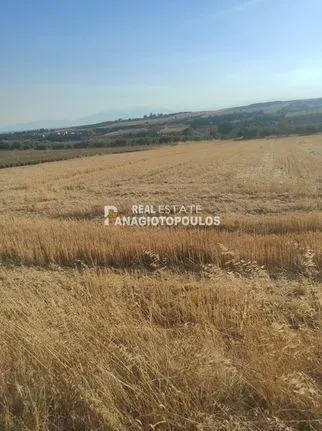 Parcel 7.700 sqm for sale, Thessaloniki - Suburbs, Epanomi