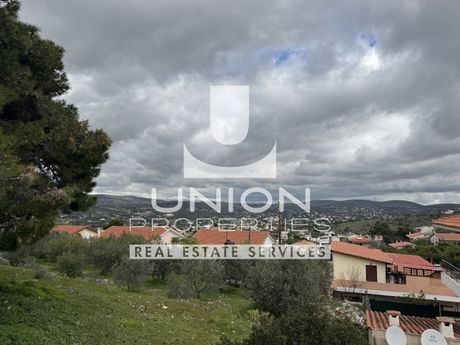 Οικόπεδο 981 τ.μ. για πώληση
