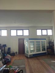 Κατάστημα 124 τ.μ. προς ενοικίαση, Ριζώματα-thumb-4