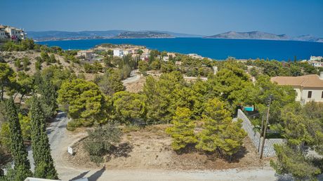 Οικόπεδο 1.005τ.μ. για πώληση-Κρανίδι » Άγιος αιμιλιανός