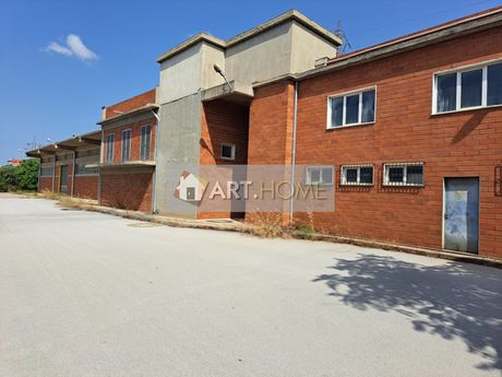 Επιχειρηματικό κτίριο 10.428τ.μ. για πώληση-Ευκαρπία » Κέντρο