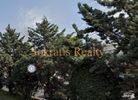 Επιχειρηματικό κτίριο 1.300τ.μ. για πώληση-Αγία παρασκευή » Ερτ