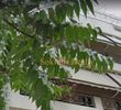 Κτίριο 660τ.μ. για πώληση-Ιστορικό κέντρο » Ακρόπολη