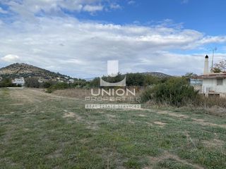 Οικόπεδο 1.960 τ.μ. προς πώληση