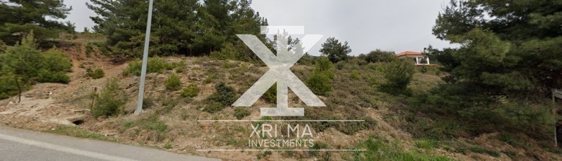 Αγροτεμάχια 1.371 τ.μ. προς πώληση, Κέντρο Πολυγύρου