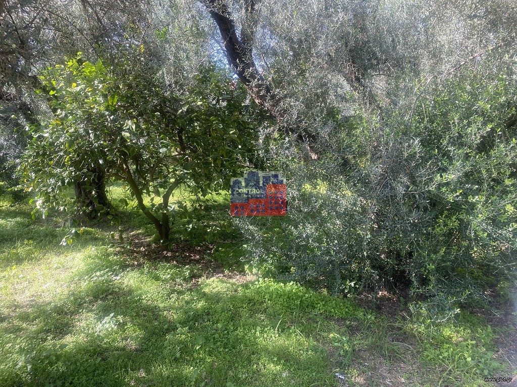 Οικόπεδο 1.000 τ.μ. προς πώληση, Διακοφτό