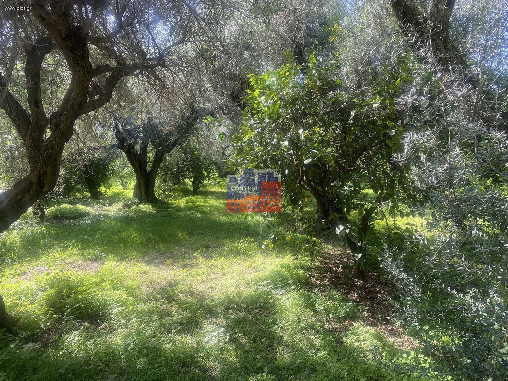 Οικόπεδο 1.000 τ.μ. προς πώληση, Διακοφτό