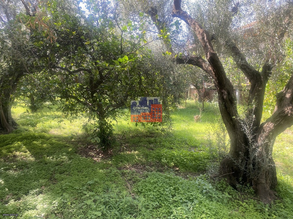 Οικόπεδο 1.000 τ.μ. προς πώληση, Διακοφτό