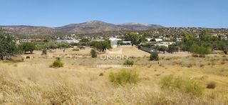 Αγροτεμάχια 3.000 τ.μ. για ενοικίαση