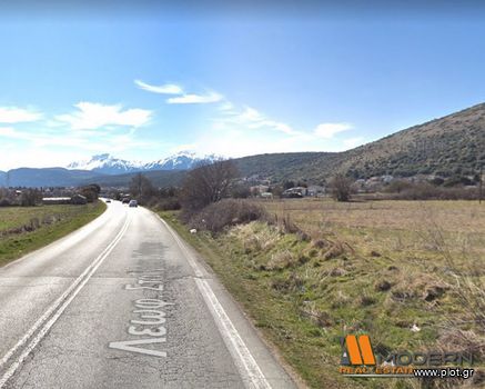 Οικόπεδο 1.800τ.μ. για πώληση-Μπιζάνιο » Πεδινή
