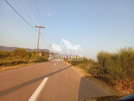 Αγροτεμάχια 2.000 τ.μ. για πώληση