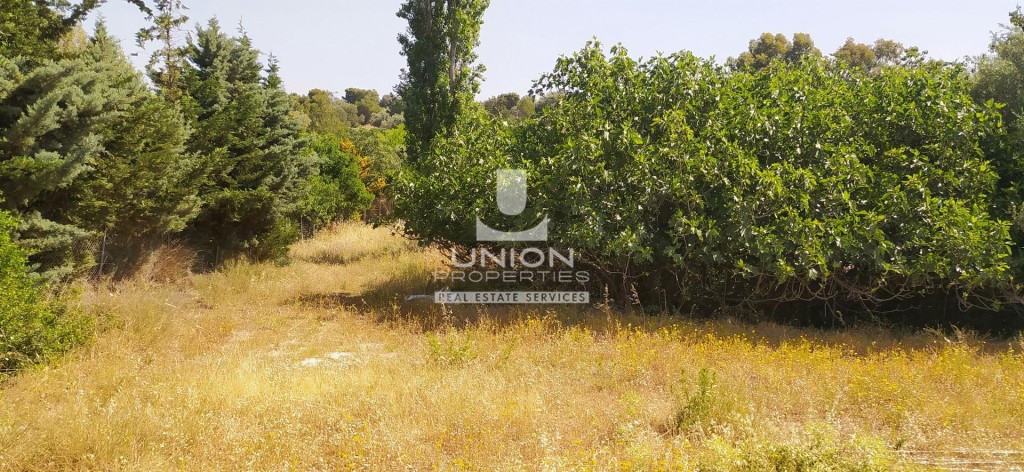 Οικόπεδο 12.000 τ.μ. προς ενοικίαση, Αγία Μαρίνα Κορωπίου