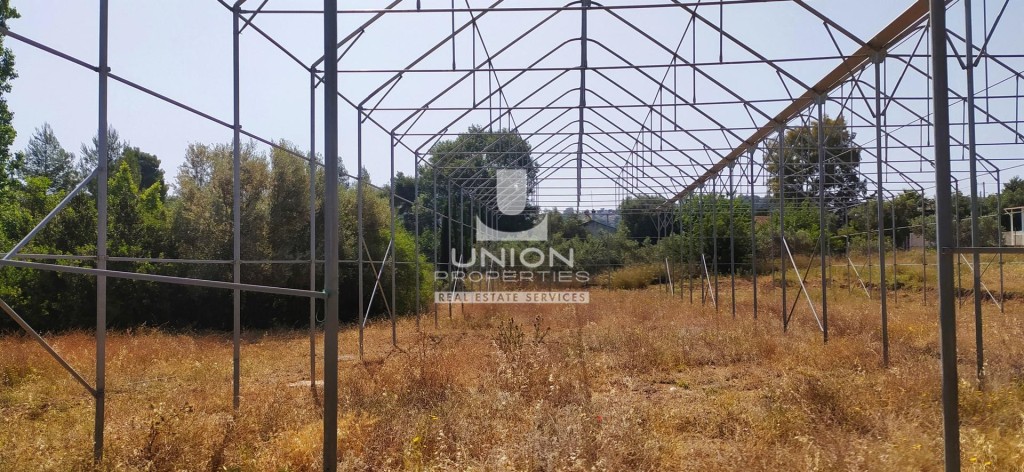 Οικόπεδο 6.000 τ.μ. προς ενοικίαση, Αγία Μαρίνα Κορωπίου