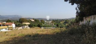 Οικόπεδο 6.000 τ.μ. για ενοικίαση