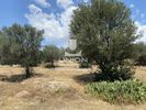 Land plot 370sqm for sale-Koropi » Agia Marina