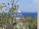 Land plot 1.321,49sqm for sale-Anavissos » Mavro Lithari