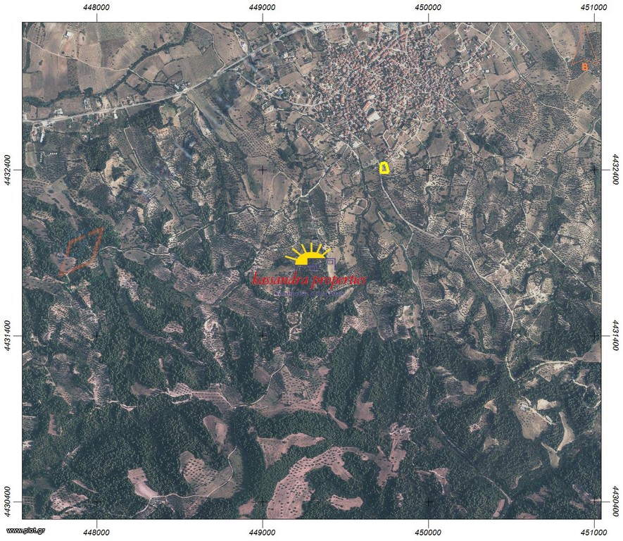 Αγροτεμάχια 2.318 τ.μ. πρός πώληση, Χαλκιδική, Κασσάνδρα