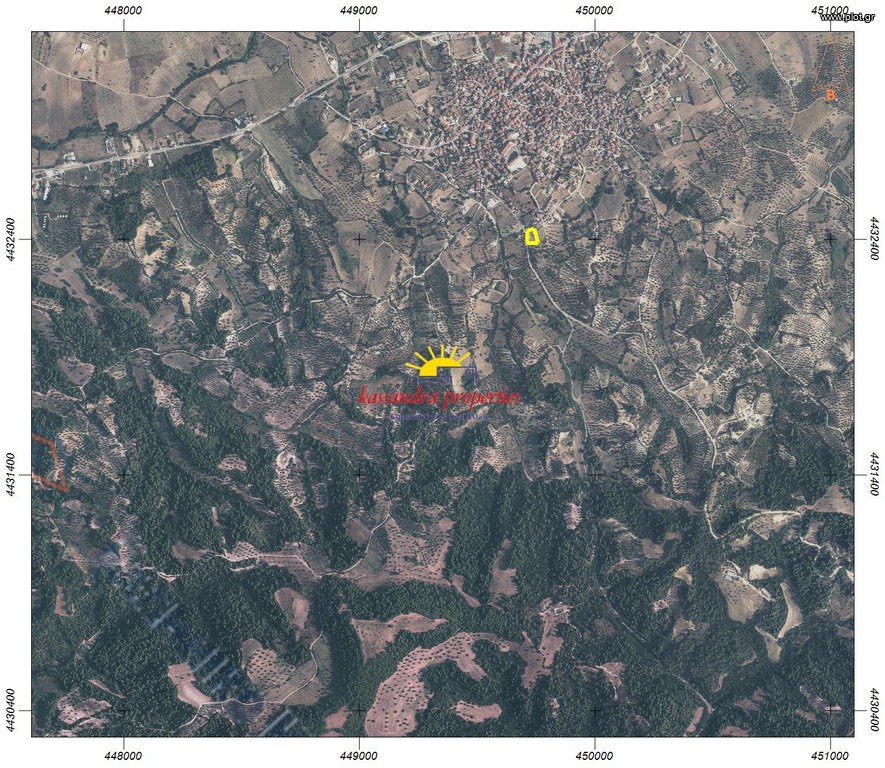 Αγροτεμάχια 2.318 τ.μ. πρός πώληση, Χαλκιδική, Κασσάνδρα