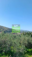 Οικόπεδο 1.600 τ.μ. για πώληση, Ν. Χανίων, Φρέ-thumb-9