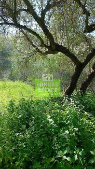 Land plot 1.600sqm for sale-Fre » Koukkos