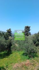 Οικόπεδο 1.600 τ.μ. για πώληση, Ν. Χανίων, Φρέ-thumb-8
