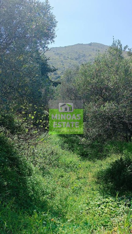 Οικόπεδο 1.600 τ.μ. προς πώληση, Ν. Χανίων, Φρέ