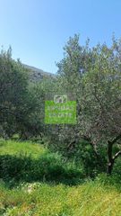 Οικόπεδο 1.600 τ.μ. για πώληση, Ν. Χανίων, Φρέ-thumb-4