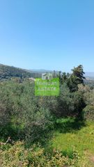 Οικόπεδο 1.600 τ.μ. για πώληση, Ν. Χανίων, Φρέ-thumb-7