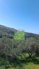Οικόπεδο 1.600 τ.μ. για πώληση, Ν. Χανίων, Φρέ-thumb-13