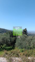 Οικόπεδο 1.600 τ.μ. για πώληση, Ν. Χανίων, Φρέ-thumb-11