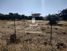 Land plot 502sqm for sale-Anavissos » Mavro Lithari