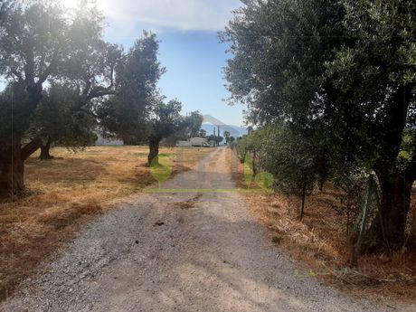 Land plot 368sqm for sale-Rio » Arachovitika