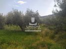 Land plot 2.400sqm for sale-Anavissos » Mavro Lithari