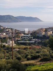 Αγροτεμάχια 1.000 τ.μ. προς πώληση