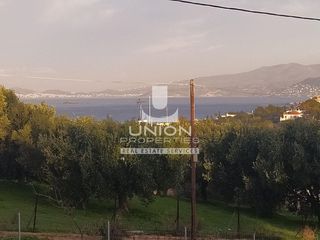 Οικόπεδο 870 τ.μ. προς πώληση