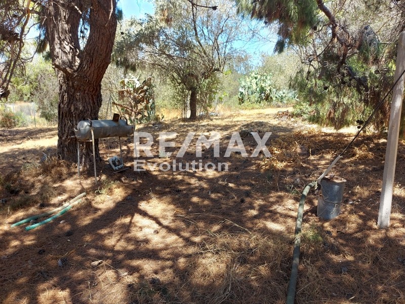 Μονοκατοικία 77 τ.μ. πρός πώληση, Αττική - Υπόλοιπο, Παλαιά Φώκαια