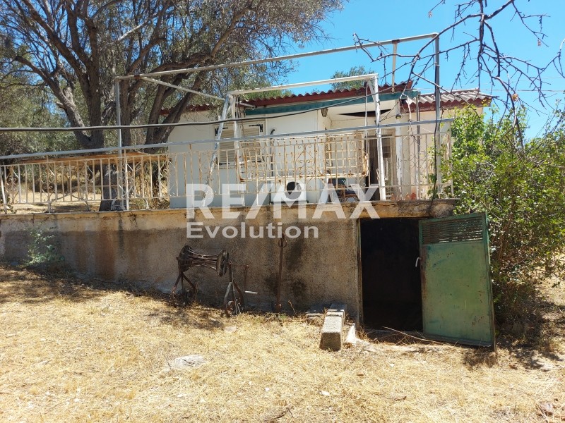 Μονοκατοικία 77 τ.μ. πρός πώληση, Αττική - Υπόλοιπο, Παλαιά Φώκαια
