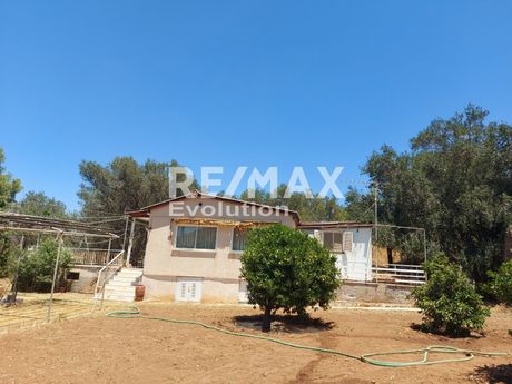 Μονοκατοικία 77 τ.μ. για πώληση