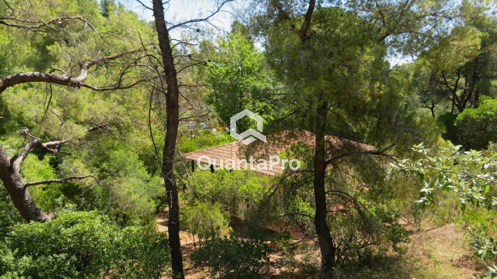Οικόπεδο 2.600 τ.μ. προς πώληση, Βουρβουρού